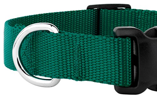 Country Brook Petz - 30+ Vibrant Colors - American Made Deluxe Nylon Dog Collar With Buckle (Large, 1 Inch Wide, Green) #TOP6
