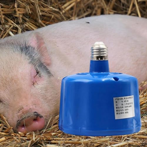 Lampe chauffante pour volailles et élevage de haute précision - 7