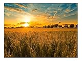 1500 Teile Klassisches Puzzle für Erwachsene Und Kinder-Feld,Ohren,Getreide 87x57cm