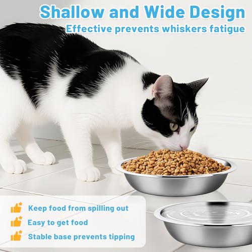 elzle Katzennäpfe, 3 Stück Fressnäpfe für Katzen Edelstahl, Spülmaschinenfest 5,5 Zoll Futternapf Katze, Ersatz für kleine Katzen und Hunde