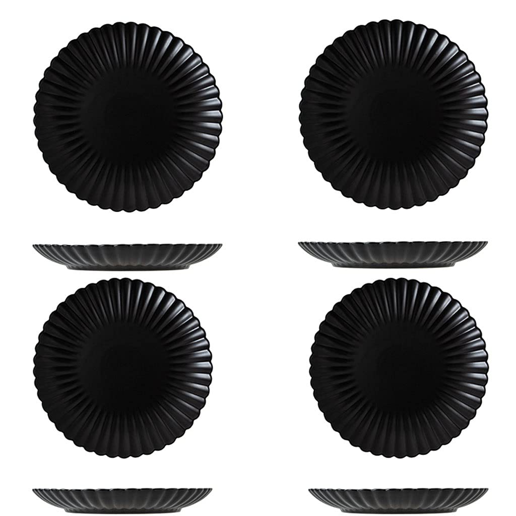 NZPOST Dinner Plate Ceramic Plates Sets 10Inch Set Of 4, The Salad Steak Dessert And Appetizer Dinner Plat