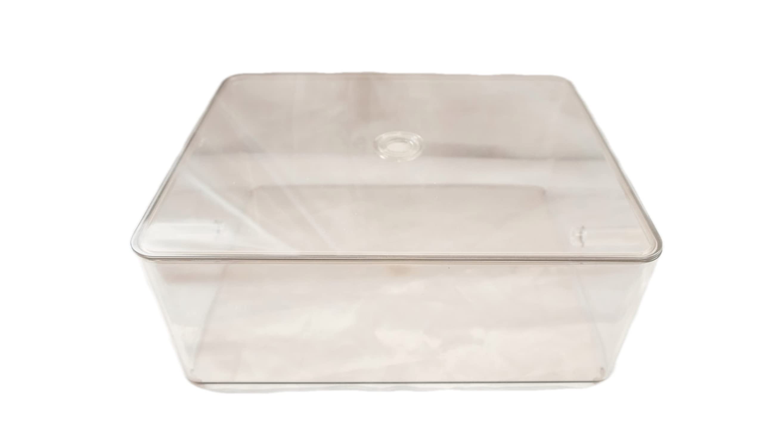Best Ants UK Ant Farm Kit Arena Complete Large Set Outworld Formicarium