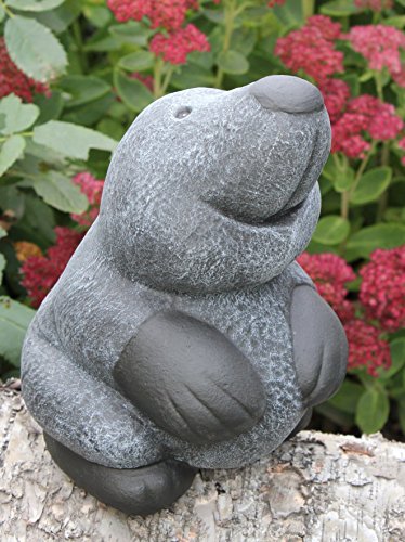 Pietra Figura Mole Piccola Pietra fusa - Grigio