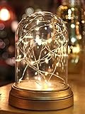 Glass Display Dome Cloche with Suspended LED Fairy Lights 6.5 High