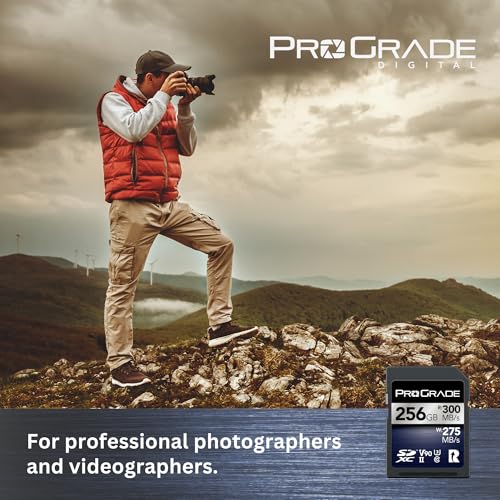Image of ProGrade Digital SDXC UHS-II V90 Iridium Memory Card (256GB)