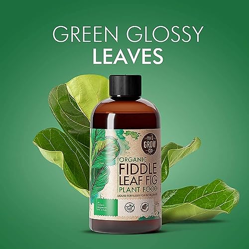 Fertilizante Líquido Orgánico para Ficus - 8 oz miniatura 6