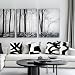 KEUSPI Black and White Throw Pillows Covers 18x18 Decorative Abstract White and Black Pillow Cover Room Decor for Living Room Sofa Couch Set of 4 Home Cojines Decorative para Sala