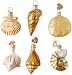 Old World Christmas Ornaments: Assorted Sea Shell Set Glass Blown Ornaments for Christmas Tree