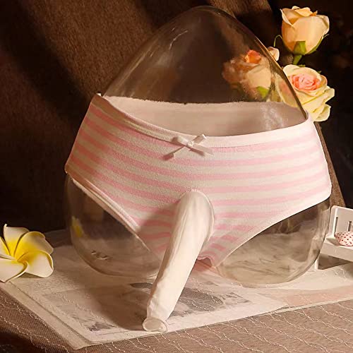 Image of Japanese Style Cute Striped Cotton Thong Pouch Bikini Underwear Briefs Cosplay Panties for Women Men Pack of 2