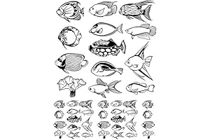 Etch-A-Sketch Fish Ceramic or Glass Decal