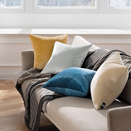 Phantoscope Pack of 2 Velvet Decorative Throw Pillow Covers Soft Solid Square Cushion Case for Couch Shiny Beige 12 x 20 inches 30 x 50 cm