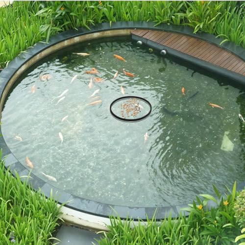Lnngub 5 Stück schwimmende Ringe für Aquarienpflanzen, 5 Größen, Schwarz, zum Halten oder Trennen von schwimmenden Pflanzen (20/17/14/11/8 cm)
