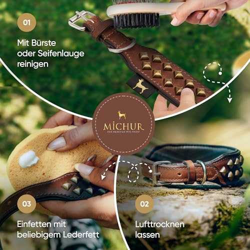 MICHUR Diego Braun 1. Wahl !! Hundehalsband Leder Lederhalsband Hund Halsband Löwenkopf Nieten Messing Optik Braun Gold