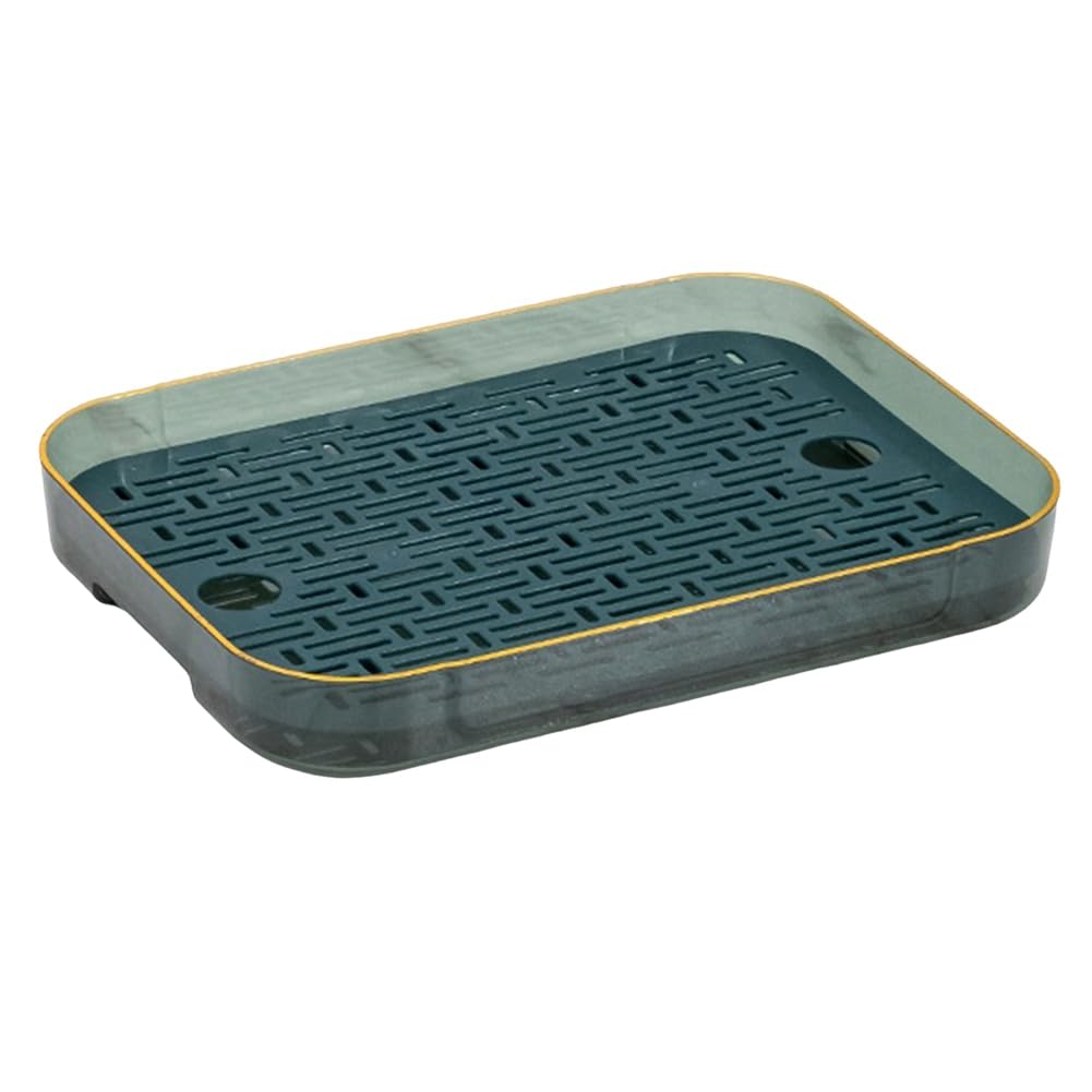 CTRLZS Double Layer Drain Tray,Tea Tray Fruit Tray,Simple Household Living Room Tray,Green & Transparent