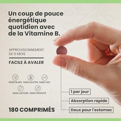 Vitamin B-Komplex hochdosiert – Alle 8 B-Vitamine – Trägt zum Energiestoffwechsel, Nervensystem und zur Verringerung von Müdigkeit und Erschöpfung bei – 180 Tabletten – B1, B2, B3, B5, B7, B9, B12