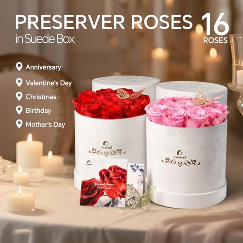 16 Preserved Roses in a Box, Preserved Flowers Gifts for Women, Forever Flowers for Delivery, Flower Birthday Gifts Box for Her, Mothers Day Rose Gifts for Mom, Sweet Pink - Image 5