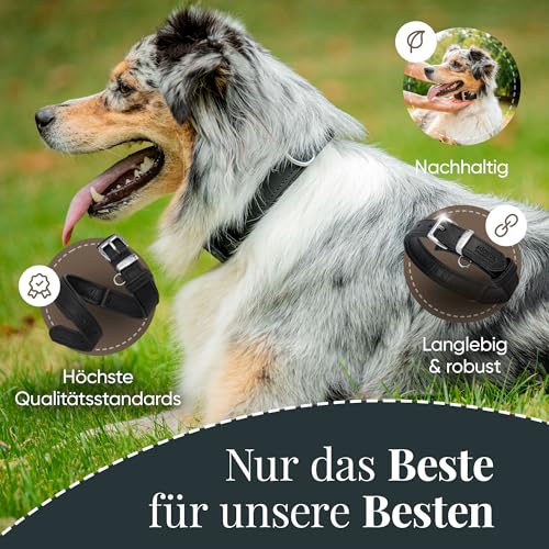 Michur Minimo Schwarz Hundehalsband Leder, Lederhalsband Hund, Halsband, Leder, in verschiedenen Größen erhältlich