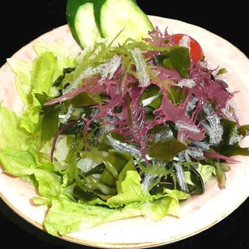 業務用海藻かんてんダイエットサラダ 100g 9食分 かいや サンエイオンラインショップ の最安値と通販店 取扱店なし サープラ 業務用海藻かんてんダイエットサラダ 100g 9食分 かいや サンエイオンラインショップ の最安値と通販店 取扱店なし サープラ