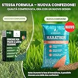 LERAVA B0DLKQJ4YJ lato 2