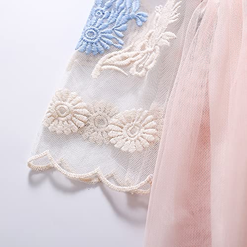 Pettigirl Girls Blue Fashion Floral Embroidery Clothing Kids Cute Tulle Party Tutu Princess Holiday Dresses4