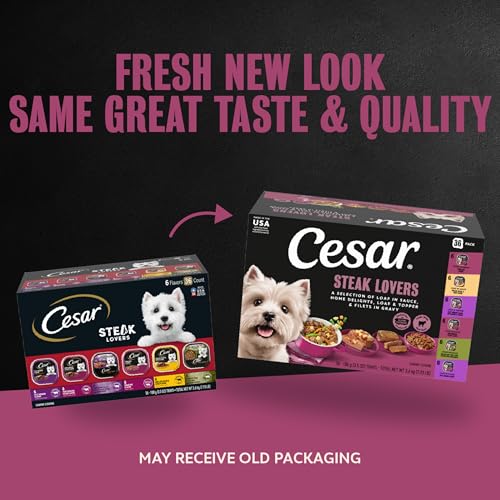 Image of Cesar Wet Dog Food, Steak Lovers Variety Pack, 3.5 oz, 36 Count | Real meat #1 ingredient, easy peel trays, 100% complete & balanced, no fillers, no added sugar, no artificial flavors