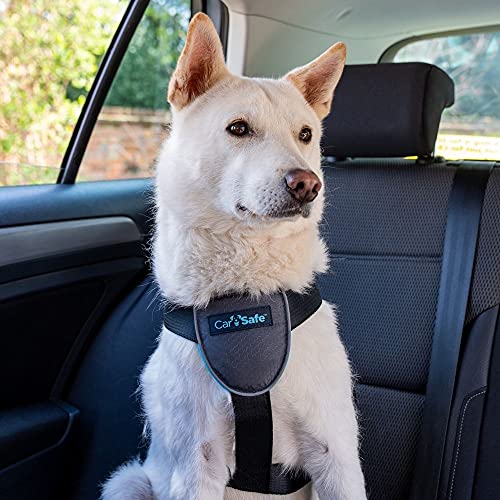 CarSafe Hunde Reisegeschirr, sicher & gesetzeskonform mit dem Hund unterwegs, erfüllt die Straßenverkehrsordnung, Tiere im Auto zu sicheren, für mittelgroße Hunde geeignet (Größe M)