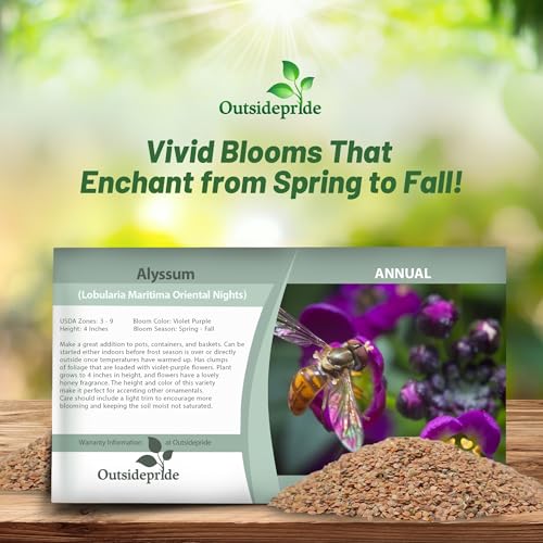image for Outsidepride Oriental Nights Alyssum Seeds - 5000 Pcs Annual, Drought-