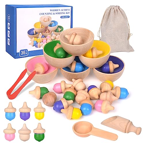Montessori Wooden Color Sorting Toys - Sensory Toys Matching Game with Sorting Bowls - Preschool Learning Educational Toddler Toys for 3+ Year Old Boy and Girl Gifts