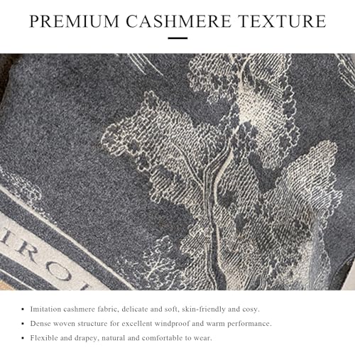 Warm Scarf Cashmere Shawl Women Artistic Landscape Painting Reversible Scarf With Tassel Large Long Pashmina Stole2