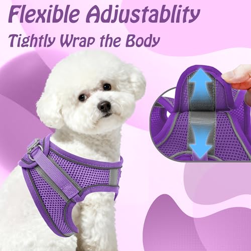 Image of AIITLE Summer Step in Dog Harness and Leash Set - No Pull Escape Proof Vest Harnesses with Soft Mesh and Reflective Bands, Adjustable Pet Outdoor Harnesses for Small and Medium Dogs Pure Purple M