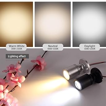 Dimmable 12V LED Mini Spotlights for Display - 1.5W Daylight 6500K, Tiny Spotlights for Displays with Dimmer, Black - Pack of 2