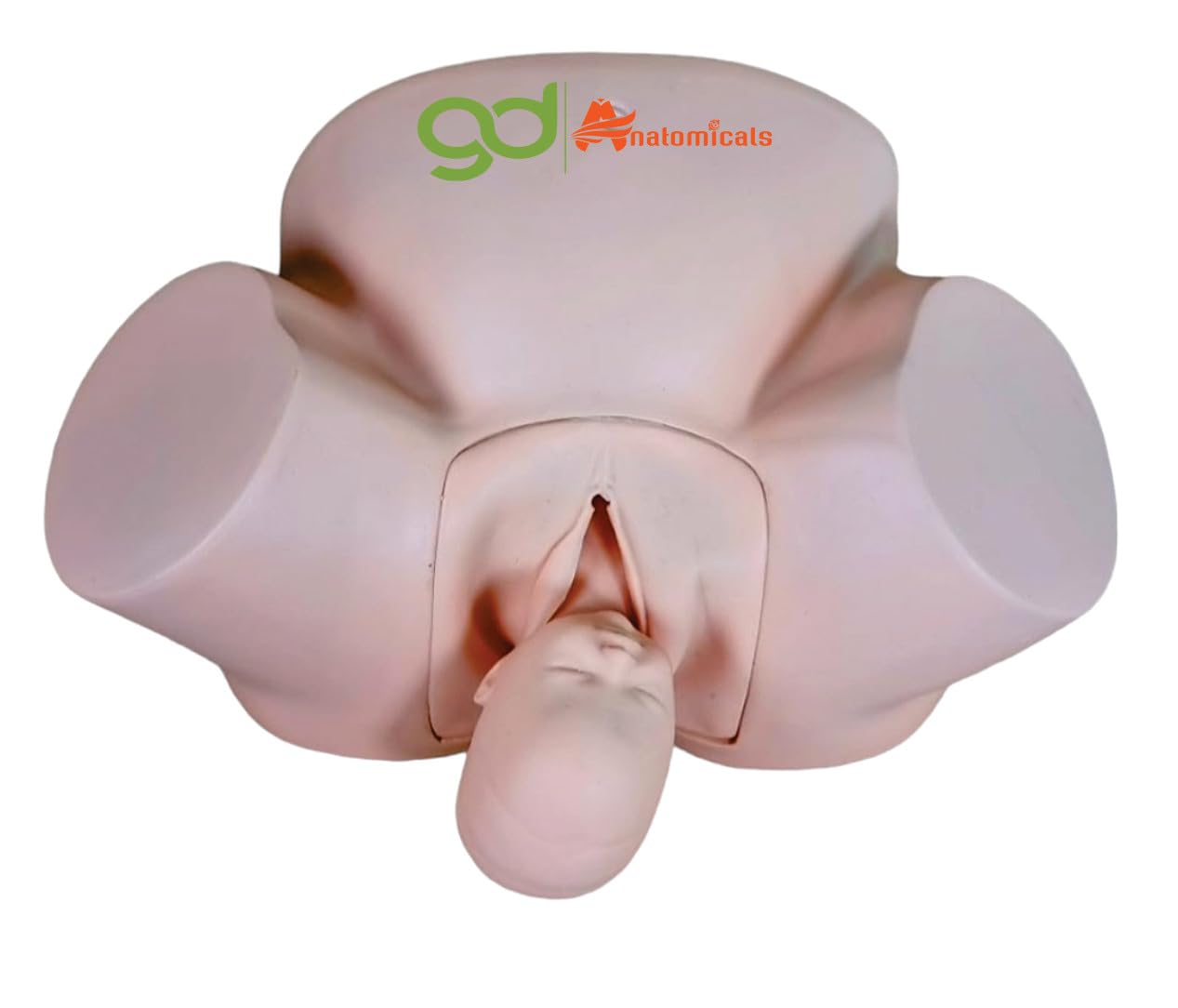 See full amazon price history chart for GD ANATOMICALS® Advanced Midwifery Training Vacuum Baby Delivery Model - Lifelike Obstetrics Simulator for Nursing Education - Comprehensive Anatomical Representation with Vacuum Assisted Delivery System - Ideal for Nursing Schools, Maternity Wards, GD ANATOMICALS® Advanced Midwifery Training Vacuum Baby Delivery Model - Lifelike Obstetrics Simulator for Nursing Education - Comprehensive Anatomical Representation with Vacuum Assisted Delivery System - Ideal for Nursing Schools, Maternity Wards, (B0CDC11Z11) Amazon Price History, Amazon Price Tracker