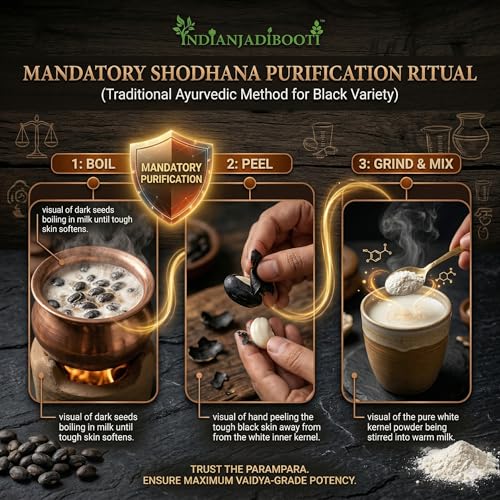 Image of IndianJadiBooti Black Kaunch Beej (Kali Mucuna Pruriens /Velvet Bean) - High-Potency Raw Seeds for Deep Vitality, Stamina & Advanced Nervous System Support (250g Raw)