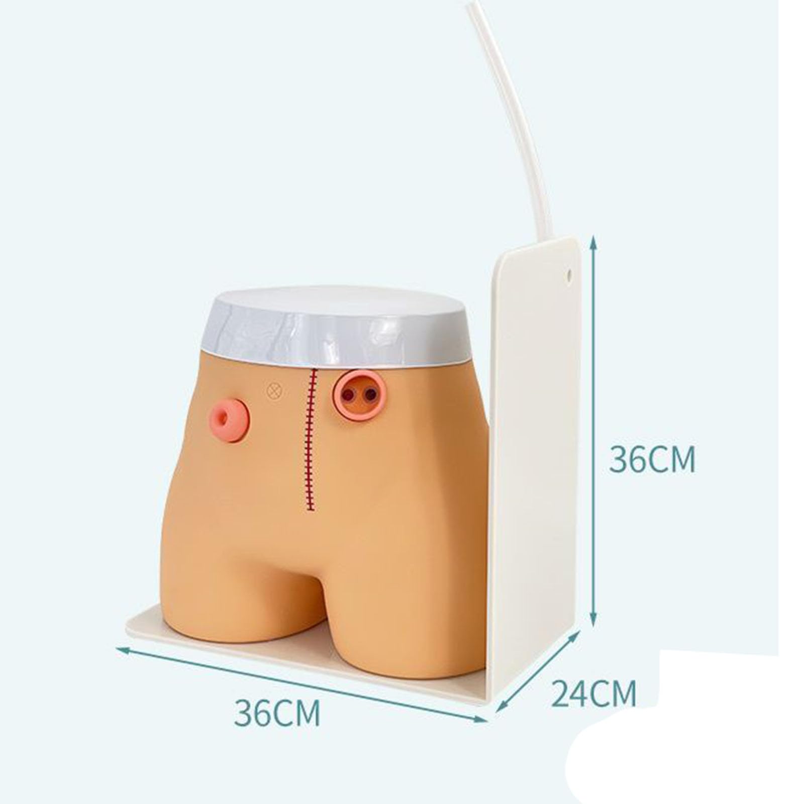 Zaawansowany model pielęgnacji przetoki i stomii - model stomii - modele praktyki opieki stomii do szkolenia medycznego i edukacji pacjenta, ciało, 36 cm