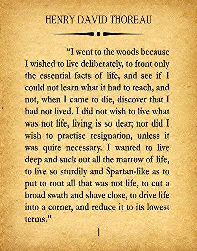 Henry David Thoreau Walden Book Quote Walden Quote Large Book Art Book Wall Art Walden Wood Poster Walden Print Walden Poster Literary Quote (8 x 10, Vintage)