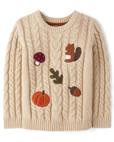 Image of Gymboree Boys' and Toddler Long Sleeve Embroidered Crew Neck Pullover Sweater