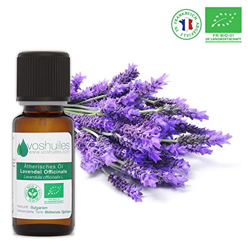 Preisvergleich Produktbild Ätherisches Bio-offizinal Lavendelöl - 10ml