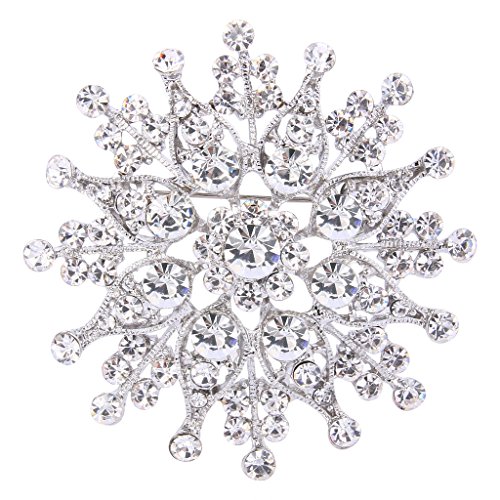 EVER FAITH Women's Austrian Crystal Elegant Flower Leaf Bridal Corsage Brooch Pin Clear Silver-Tone