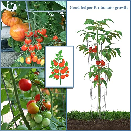 Mtb Garden Galvanized Hexagon Folding Tomato Cage Climbing Plant Support Tower Vegetable Stake Trellis 46 Inch Height 3Pack #TOP4