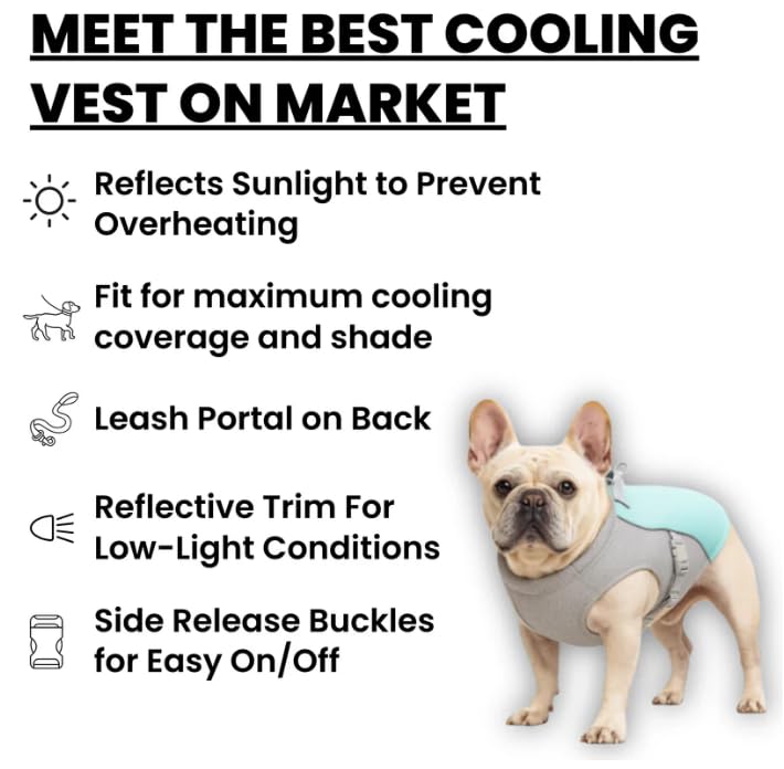 Gilet rafraîchissant pour chien par temps chaud, respirant et réglable, maintient les animaux de compagnie à l'aise pendant les activités de plein air