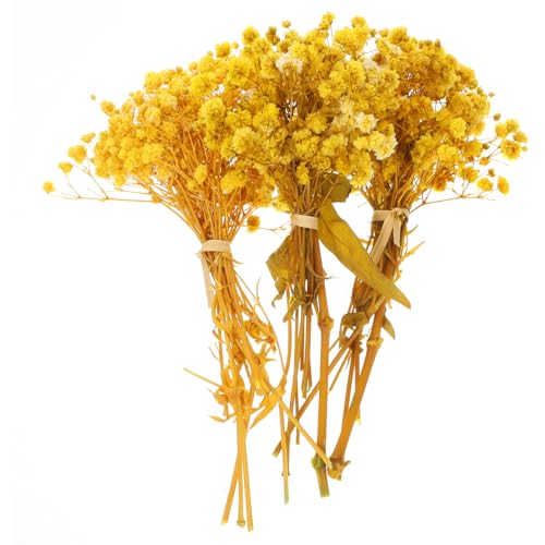 Mikikit Gypsophila Flores Secas Amarillas, 3 Ramos Pequeños para Decoración de Bodas y Arreglos de Mesa Naturales