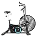 Lifespan Fitness EXER-90H Exercise Bike, Black