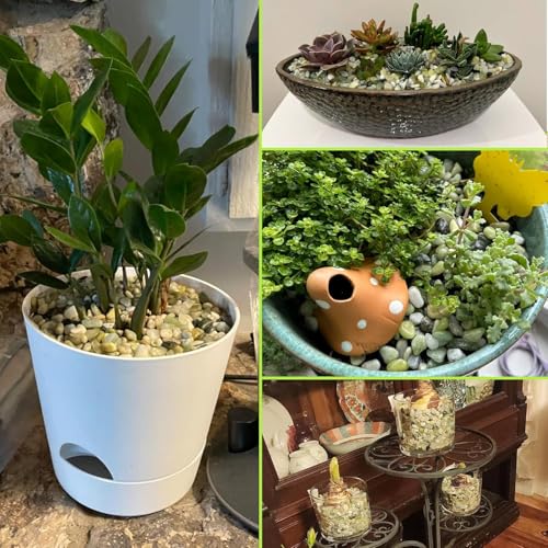 Image of 45lb Jade Bean Stone,1 /4 Inch Bonsai DIY Rocks, Natural Succulent Rock and River Rocks Decorative for Aquariums, Vases, Terrarium, Outdoor Gardening, Top Dressing for Potted Plants