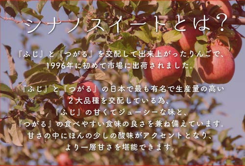 Amazon.co.jp: 長野県産 シナノスイート りんご 約4.5㎏ 8～25玉入り
