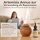 Premium Artemisia Annua 50ml • 100% reines Naturprodukt • Original Einjähriger Beifuß Auszug • alkoholfrei • Frische Ernte per Hand verarbeitet • von deutschem Familienbetrieb
