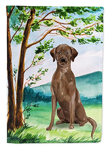 Drapeau de maison Labrador chocolat sapin de Noël idée cadeau idéal - 2