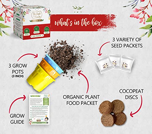 3 in 1 DIY Grow Kit by Bombay Greens | Pizza Gardening Kit | Grow Your Own Pizza Kit - Italian Basil Seeds, Oregano Seeds & Red Cherry Tomatoes Plant Seeds | DIY Kit of Pizza Seeds for Home Garden