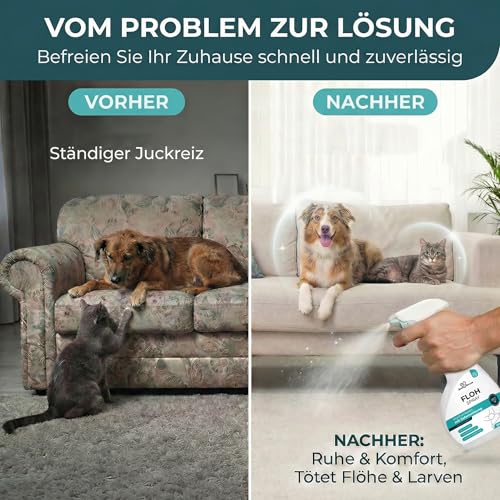 HomePetLab Flohspray für Wohnung und Möbel - 500ml Sprühflasche - Wirksames Anti Flohmittel Katzen und Hunde - Schnell & Effizient Flöhe bekämpfen