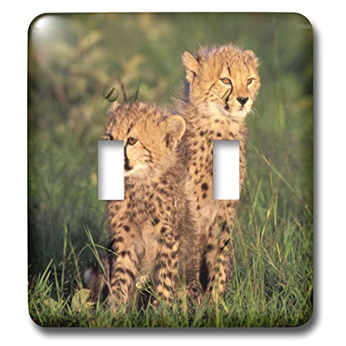 Double interrupteur à bascule Cheetah Cubs Kenya 3dRose lsp_71030_2