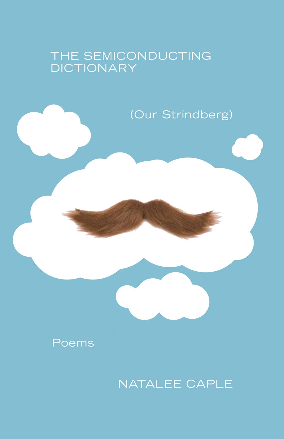 Buy The Semiconducting Dictionary Our Strindberg — BookShops.in